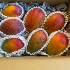 訳あり宮崎完熟マンゴー 11玉 3.6kg｜新鮮即発送 - メルカリ