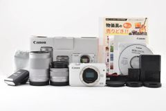 良品 Sony ソニー DSC-RX100V RX-100M5 コンデジ #0111 #0201 #2190