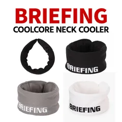 【大人気】BRIEFING ネッククーラー BRG261F10のサムネイル