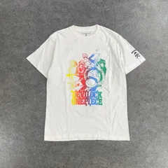 DEVILOCK ONE PIECE デビロック ワンピース コラボ 別注 Tシャツ 麦わらの一味 グラフィック 両面プリント ホワイト