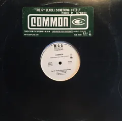 12” Common The 6th Sense (Something U Feel) MCAR250161 MCA Records プロモ /00250のサムネイル
