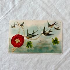 フランスアンティーク セルロイド ポストカード | ピンク薔薇のブーケ