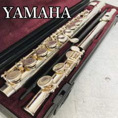 レディース MIZUNO ミズノ Maruman ゴルフ クラブ セット 女性 初心者