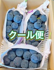 山梨県産 種無しピオーネ 甘い秀品 平均糖度23度以上 数量限定 - メルカリ