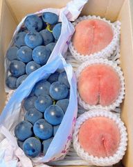 秀品】山梨県産 種無しピオーネ 5kg以上 糖度23.55度 クール便 - メルカリ