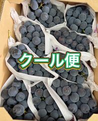 秀品】山梨県産 種無しピオーネ 5kg以上 糖度23.55度 クール便 - メルカリ
