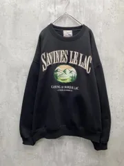 Discoat ディスコート 裏起毛 スーベニアマウンテン刺繍 スウェット ユニセックス ビッグシルエット sizeF/黒 ■◇ メンズのサムネイル