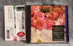 例解同訓異字用法辞典 - メルカリ
