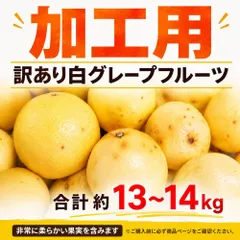 訳あり 白グレープフルーツ 約13〜14kg 加工用 フルーツのサムネイル