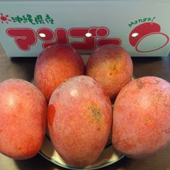 訳あり】沖縄産マンゴー 約1.9kg 7玉 農家直送 クール便 - メルカリ