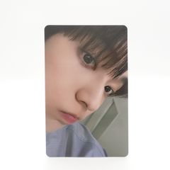 NCT 127 ショウタロウ サンリオ コラボ カード フォト トレカ 2枚