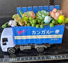 ☆速達付き☆♡そのまま飾れる♡ミニコンテナ缶♬多肉植物寄せ植え