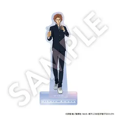 新テニスの王子様 オーロラアクリルスタンド 天根ヒカル テニプリ 新テニ 新品 未開封品 正規品 【DMM.com】 のサムネイル
