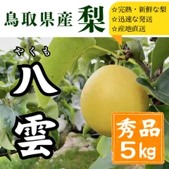 【梨　鳥取県産】八雲　贈答用3㎏ 8,9,10玉のサムネイル