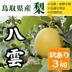 【梨　鳥取県産】八雲　家庭用3㎏ 8,9,10玉のサムネイル