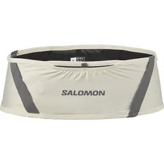 サロモン メンズ バッグ バックパック・リュックサック Salomon Pulse Belt IcicleCastelrockのサムネイル