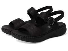 スケッチャーズ レディース シューズ ヒール SKECHERS Wilshire Boulevard Illusion Of Love BlackBlack ブラックのサムネイル