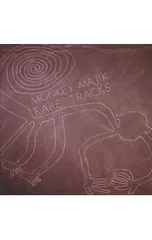 CD／MONKEY MAJIK／【CD+DVD】RARE TRACKSのサムネイル