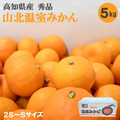 高知県産 山北温室みかん 約5kg 秀品 2S~S みかん 山北みかん ハウス栽培 フルーツ 果物のサムネイル