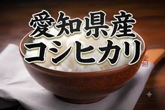 愛知県産コシヒカリ　20kg 製白米　コシヒカリのサムネイル