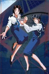2026年最新】逮捕しちゃうぞ トレーディングカードの人気アイテム