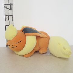 ポケモンセンター エンテイドール 2009年 紙タグ付き