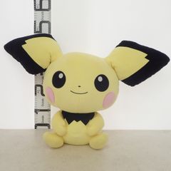 ポケモンセンター エンテイドール 2009年 紙タグ付き