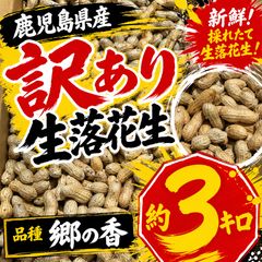 鹿児島県産 郷の香 生落花生 5kg 送料無料 - メルカリ