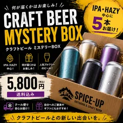 クラフトビール 5本 ミステリーBOX IPA HAZY うちゅう リパブリューのサムネイル