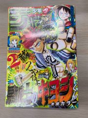 週刊少年ジャンプ 2005年46号 HUNTER×HUNTER 250話記念 - メルカリ