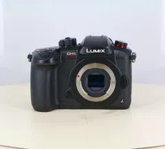 【中古】(パナソニック) Panasonic DC-GH5S ボディのサムネイル