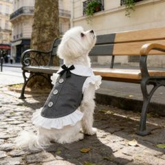 [신품] 고양이·소형견용 영국풍 프린세스 원피스 ku1