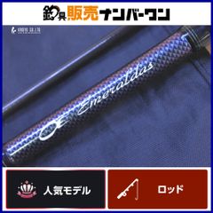 トゥルースジャパン オーシャンスプリンター 896 スピニングロッド 2