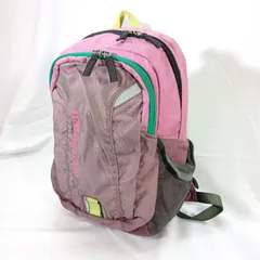 patagonia poco 12L リュック ピンク y2k アーカイブ 2000archives 90s グランジ レトロ クラシック アウトドア 至高のアーカイブ品 ベタつきなしのサムネイル