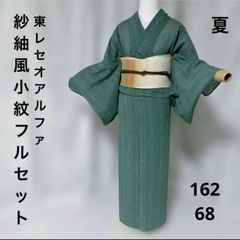 東レ セオアルファ 洗える夏着物 小紋 トンボ 着物単品 薄物 - メルカリ