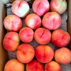 硬い桃】箱込10kg クール便 送料無料！ - メルカリ