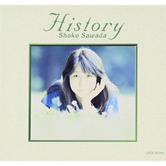 柴田聡子 『2011、冬のデモ』 貴重盤 しばたさとこ - メルカリ