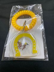 【競馬】シャフリヤール（2021年日本ダービー）ミニゼッケン／福永祐一／JRA 競馬】シャフリヤール（2021年日本ダービー）ミニゼッケン／福永祐一