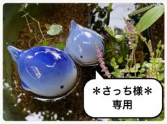 浮球＊ 5点 陶器 浮き球 浮き玉 置物 メダカ鉢 ビオトー5 - メルカリ