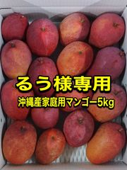 食品 沖縄産超レアマンゴー3種セット(約2.1kg)
