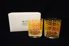 JZOLOFT コーチCOACH グラス未使用セルトラリン ファイザー ゾロフト JZOLOFT コーチCOACH グラス未使用セルトラリン ファイザー ゾロフト