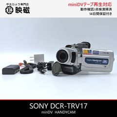 SONY ソニー DCR-TRV30 ハンディカム miniDVビデオカメラ 整備済み