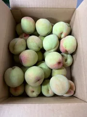 山形県東根産 摘果桃 大久保 加工用 3kg以上のサムネイル