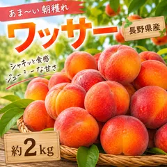 長野県産 ワッサー 約2kgのサムネイル