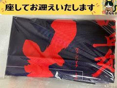 非売品】新田美波 生存本能ヴァルキュリア B2 特大 告知 ポスター