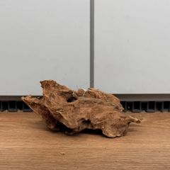 セット販売）ADA APグラス,クリアスタンド for APグラス - メルカリ