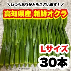 L 30本 高知県産 オクラ 野菜 即購入OK 産地直送 xyoのサムネイル