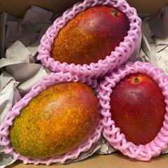 訳あり宮崎完熟マンゴー 9玉約3.4kg - メルカリ