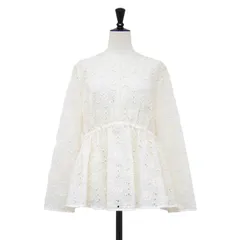 Ballsey ボールジー ブラウス ライトベージュ サイズ:36(9号) 25春夏 エンブロイダリー オーガンザ ウエストギャザー ブラウス プルオーバー 長袖 クルーネック 花柄 刺繍 シアー トップス シャツ カットソー【レディース】【中古】のサムネイル