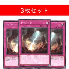 타이푼 SR12-JP039 3장 세트